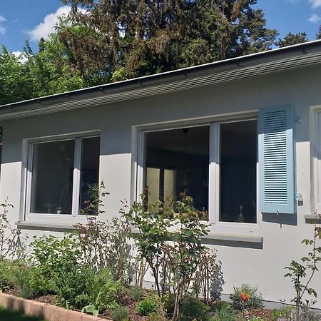 Gartenchalet Rotkehlchen 巴特洪堡 外观 照片