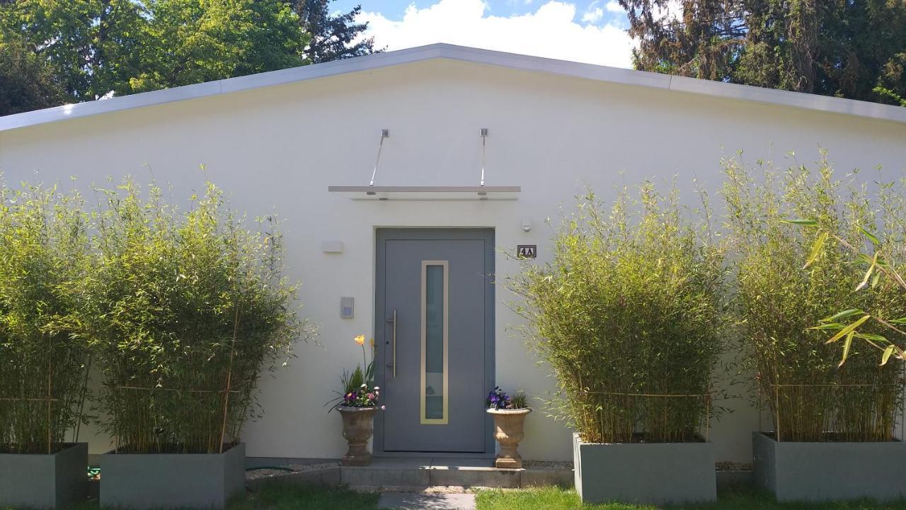 Gartenchalet Rotkehlchen 巴特洪堡 外观 照片