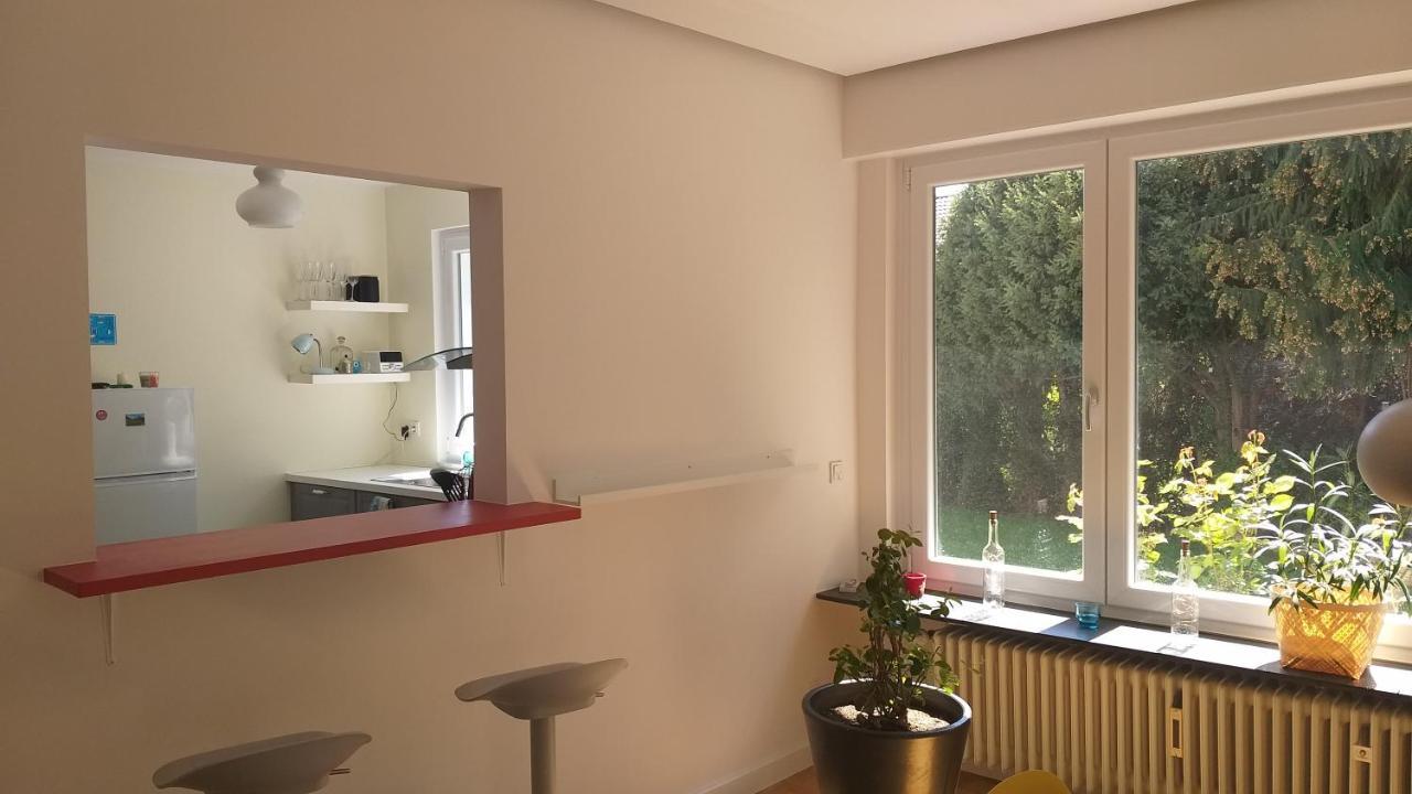 Gartenchalet Rotkehlchen 巴特洪堡 外观 照片