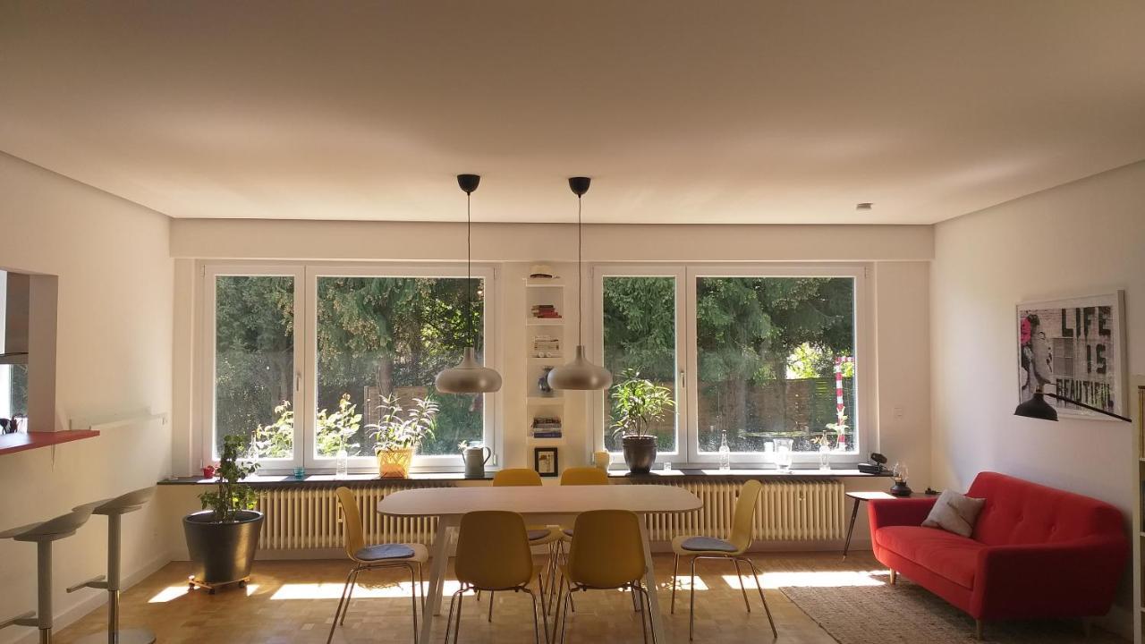 Gartenchalet Rotkehlchen 巴特洪堡 外观 照片